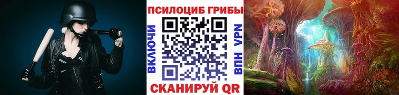 Купить где  Юрьев-Польский  Псилоцибиновые грибы Cubensis 